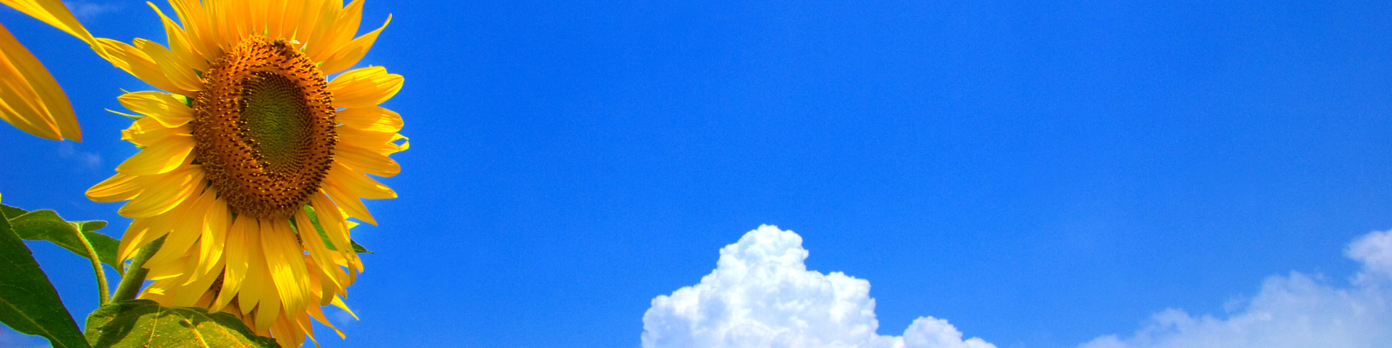 イメージ イメージ